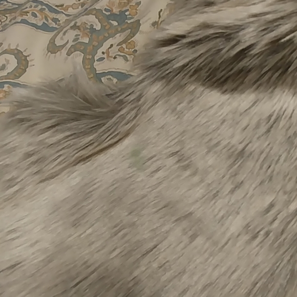 Meet your Posher, Ashley - Picture 2 of 3